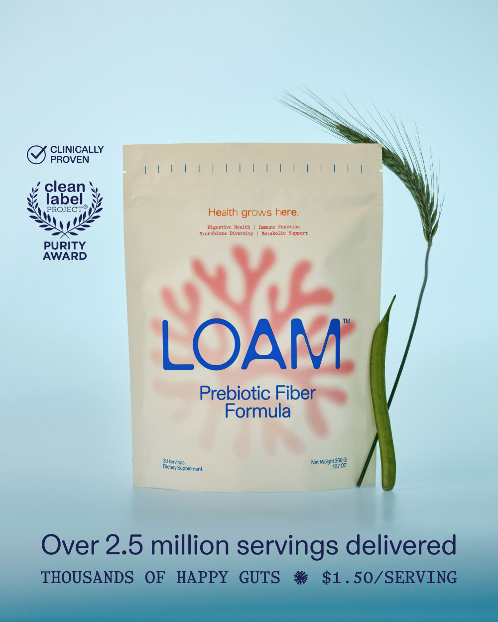 LOAM PDP 1d