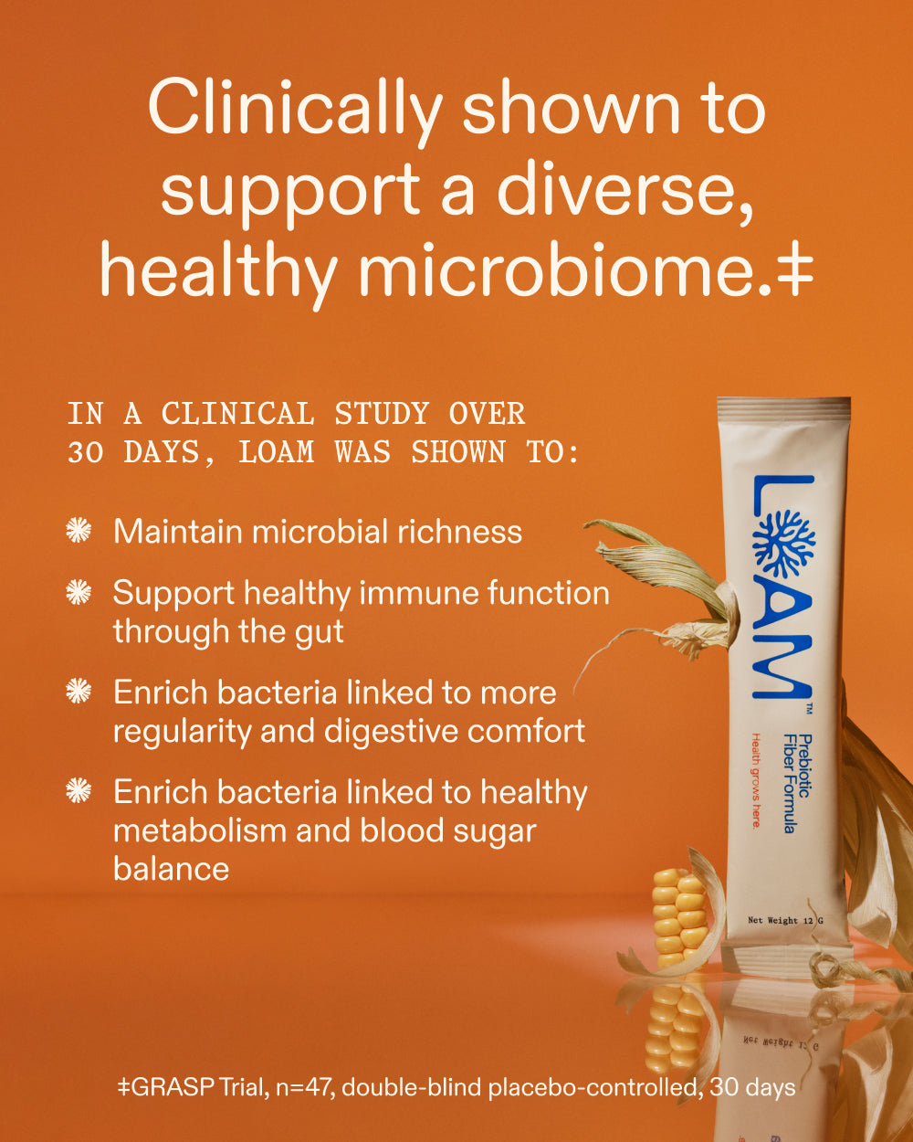 LOAM Prebiotic Fiber Formula 3